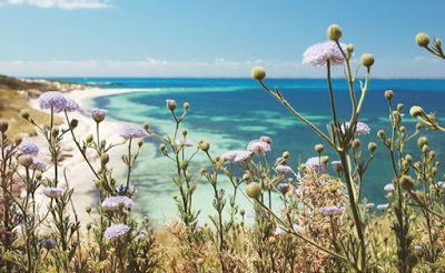 It’s September – it’s spring | Observations in an undemocratic world